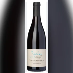 2021 Domaine Christian Sorine